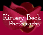 Kinsey Beck Photography