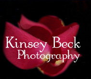 Kinsey Beck Photography